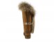 Classic Tall Skillful Wrestling Fox Chestnut