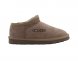 Tasman Chestnut - 39