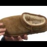 Tasman Chestnut - 39