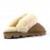 UGG Slippers Scufette Сhestnut - 41