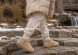 Ugg Tasman - Sand - Бежевый, 40, Замша