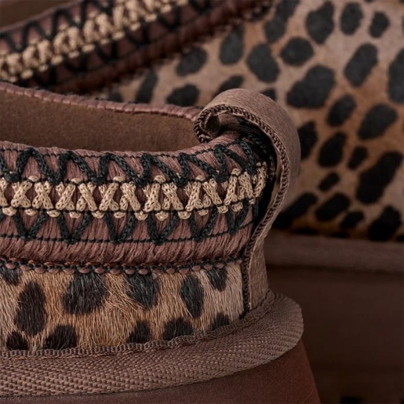 Женские слипоны на платформе Ugg Tazz - Caspian