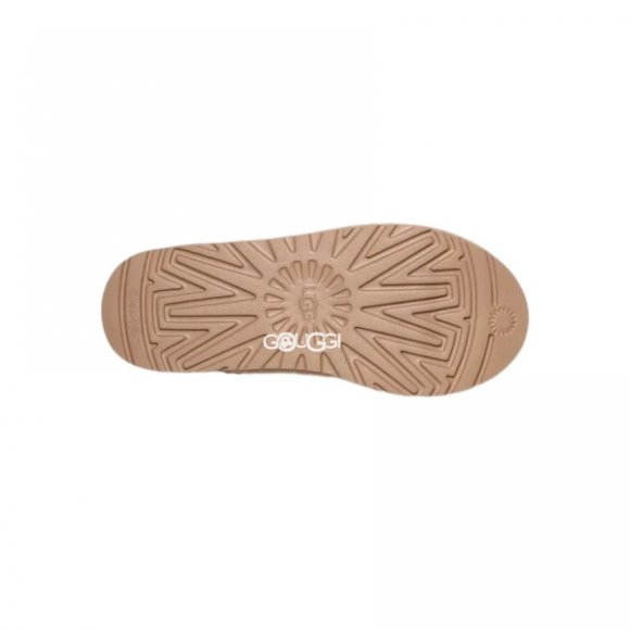 Tasman Slipper Mustard Seed