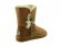 Bailey Button Azalea Chestnut - 39