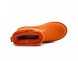 Mini California Poppy - 40