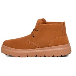 Ugg Burleigh Chukka - Chestnut