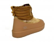 Classic Mini Lace-Up Weather Chestnut Classic Mini Lace-Up Weather Chestnut