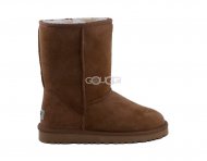 Men Classic Short Chestnut  1 Men Classic Short Chestnut  1