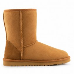 Ugg Classic Short Men's - Chestnut