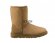 Classic Short Chestnut II