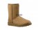Classic Short Chestnut II