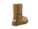 Classic Short Chestnut II