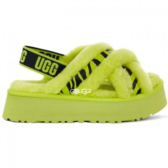 Disco Cross Slide Animalia - Key Lime
