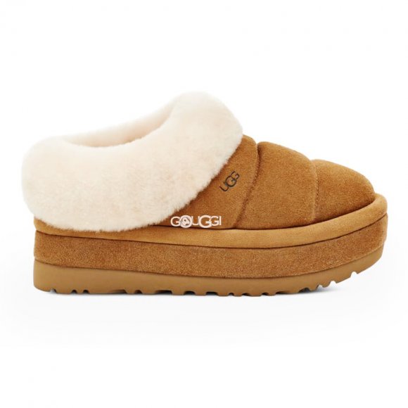 UGG Tazzlita Chestnut - 39