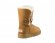 Bailey Button Chestnut II