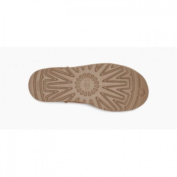 Женские мини угги на платформе Ugg Mini Platform Boot - Chestnut Женские мини угги на платформе Ugg Mini Platform Boot - Chestnut