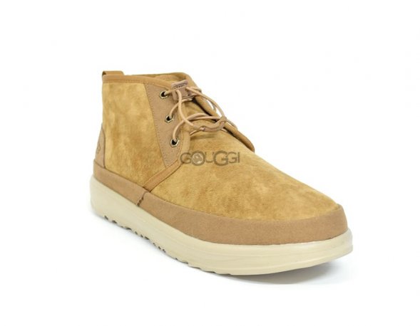 Neumel Elastic Chestnut - 41