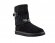 Cambridge Black