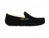 Ascot Black Ascot Black