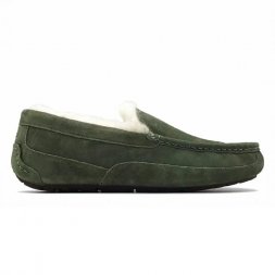 Ugg Ascot - Burnt Olive