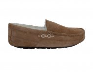 Ascot Chestnut Ascot Chestnut