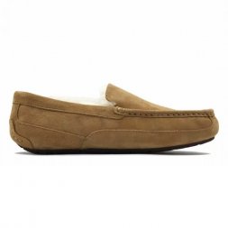 Ugg Ascot Chestnut