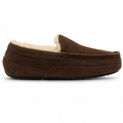 Ugg Ascot Chocolate