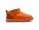 Ultra mini California Poppy - 39