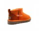 Ultra mini California Poppy