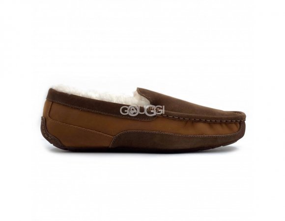Ascot Gognac - 44
