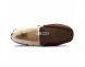 Ascot Gognac - 44