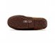 Ascot Gognac - 44