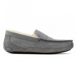 Ugg Ascot Grey