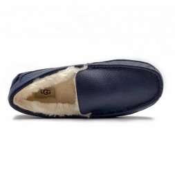 Ugg Ascot Navy