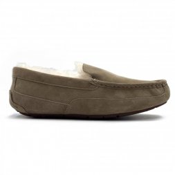 Ugg Ascot - Olive