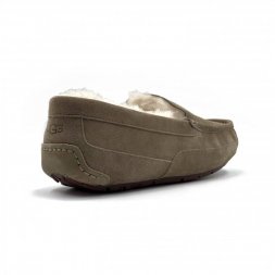 Ugg Ascot - Olive