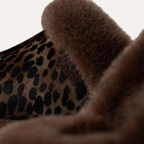 Женские тапочки Ugg Scuffette Caspian