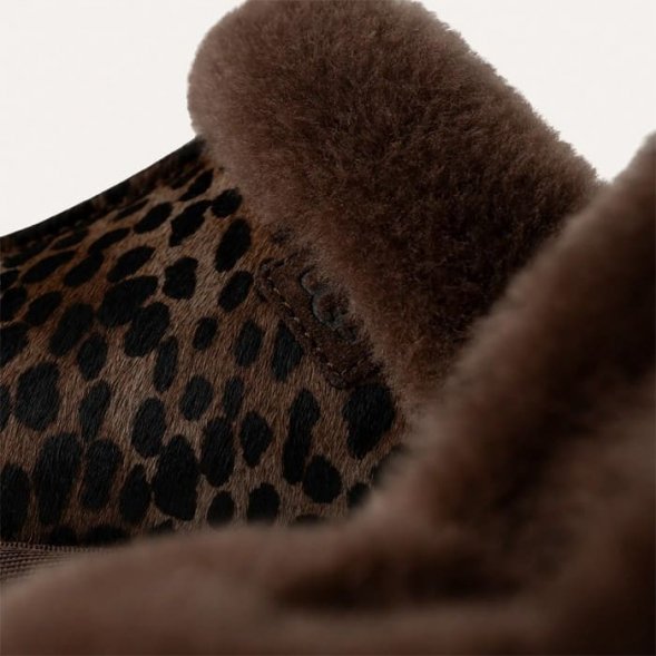 Женские тапочки Ugg Scuffette Caspian